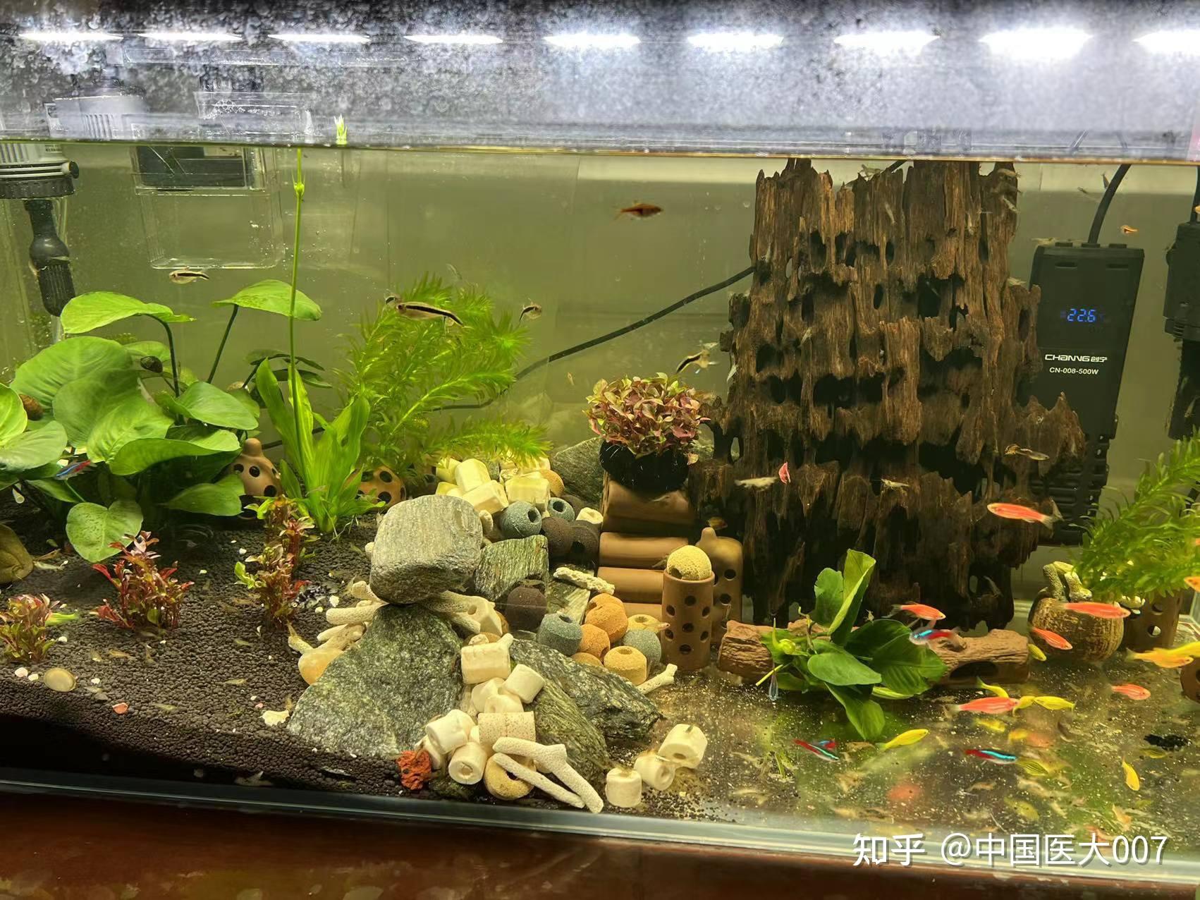 养虾游戏攻略(养虾赚钱软件真的假的) 养虾游戏攻略(养虾赚钱软件真的假的)