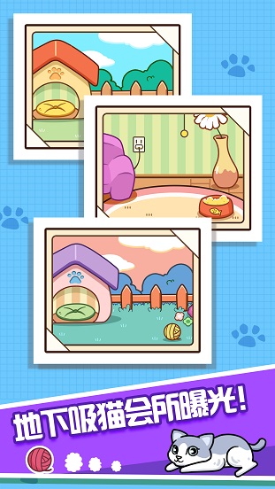 可以养猫的游戏攻略(养猫游戏推荐) 可以养猫的游戏攻略(养猫游戏推荐)