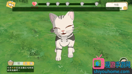 可以养猫的游戏攻略(养猫游戏推荐) 可以养猫的游戏攻略(养猫游戏推荐)