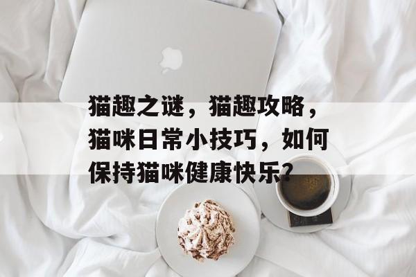 猫趣之谜,猫趣攻略,猫咪日常小技巧,如何保持猫咪健康快乐? 猫趣之谜,猫趣攻略,猫咪日常小技巧,如何保持猫咪健康快乐?