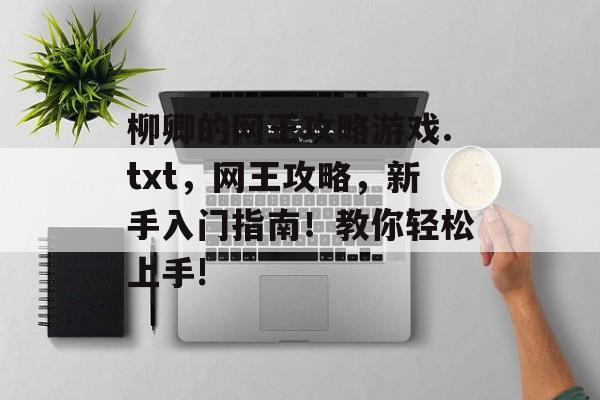 柳卿的网王攻略游戏.txt，网王攻略，新手入门指南！教你轻松上手! 