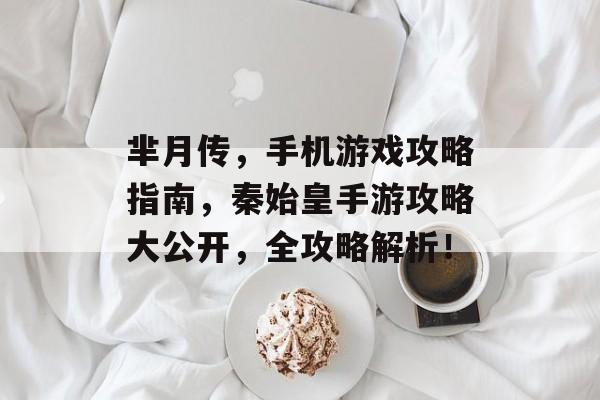 芈月传,手机游戏攻略指南,秦始皇手游攻略大公开,全攻略解析! 芈月传,手机游戏攻略指南,秦始皇手游攻略大公开,全攻略解析!