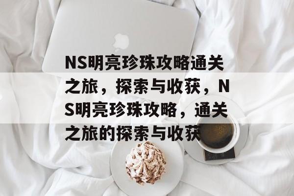 NS明亮珍珠攻略通关之旅，探索与收获，NS明亮珍珠攻略，通关之旅的探索与收获