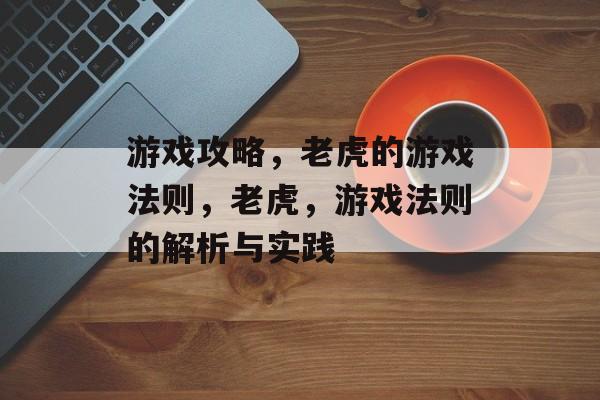 游戏攻略,老虎的游戏法则,老虎,游戏法则的解析与实践 游戏攻略,老虎的游戏法则,老虎,游戏法则的解析与实践