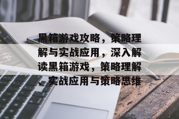 黑箱游戏攻略，策略理解与实战应用，深入解读黑箱游戏，策略理解、实战应用与策略思维