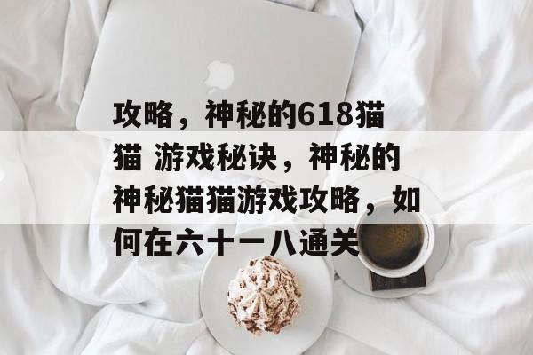 攻略，神秘的618猫猫 游戏秘诀，神秘的神秘猫猫游戏攻略，如何在六十一八通关