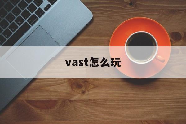 vast怎么玩 vast怎么玩