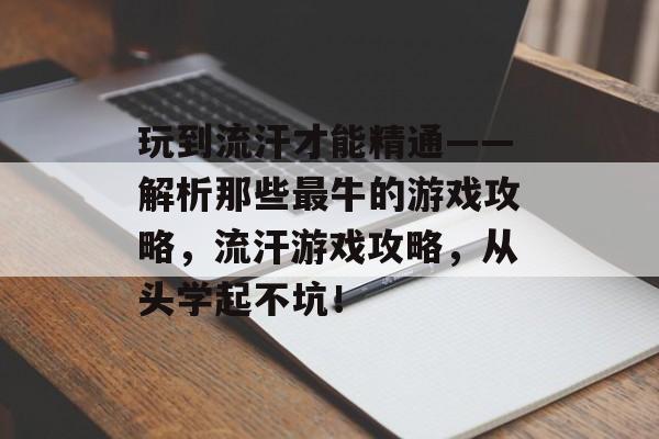 玩到流汗才能精通——解析那些最牛的游戏攻略，流汗游戏攻略，从头学起不坑！
