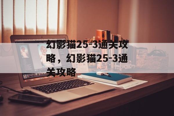 幻影猫25-3通关攻略，幻影猫25-3通关攻略