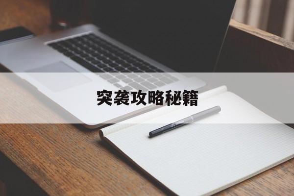 突袭攻略秘籍 突袭攻略秘籍