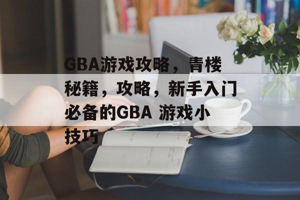 GBA游戏攻略，青楼秘籍，攻略，新手入门必备的GBA 游戏小技巧
