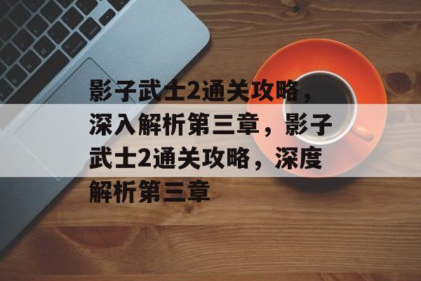 影子武士2通关攻略，深入解析第三章，影子武士2通关攻略，深度解析第三章
