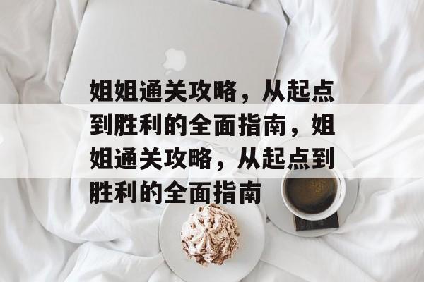 姐姐通关攻略，从起点到胜利的全面指南，姐姐通关攻略，从起点到胜利的全面指南