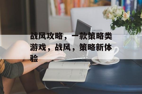 战风攻略，一款策略类游戏，战风，策略新体验