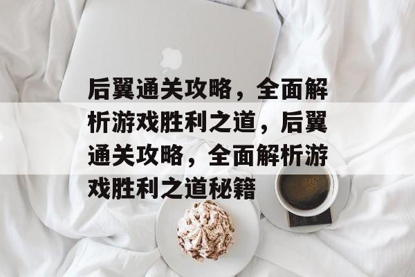 后翼通关攻略，全面解析游戏胜利之道，后翼通关攻略，全面解析游戏胜利之道秘籍