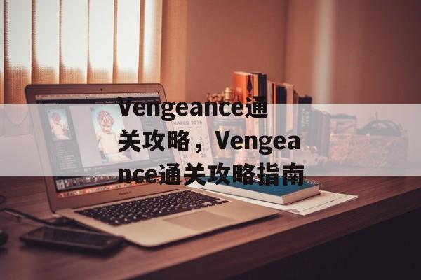 Vengeance通关攻略，Vengeance通关攻略指南