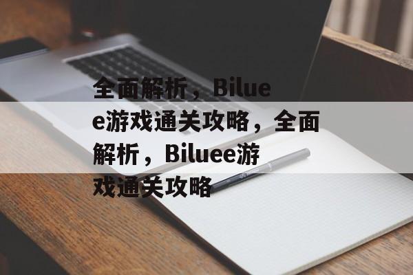 全面解析，Biluee游戏通关攻略，全面解析，Biluee游戏通关攻略