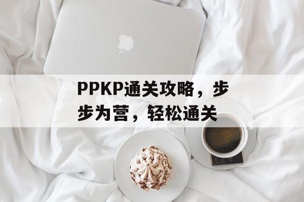 PPKP通关攻略,步步为营,轻松通关 PPKP通关攻略,步步为营,轻松通关