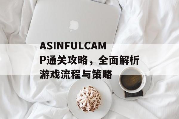 ASINFULCAMP通关攻略，全面解析游戏流程与策略