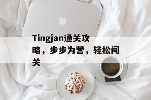 Tingjan通关攻略,步步为营,轻松闯关 Tingjan通关攻略,步步为营,轻松闯关