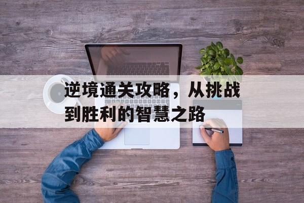 逆境通关攻略,从挑战到胜利的智慧之路 逆境通关攻略,从挑战到胜利的智慧之路