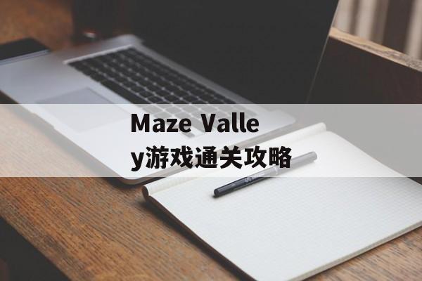 Maze Valley游戏通关攻略