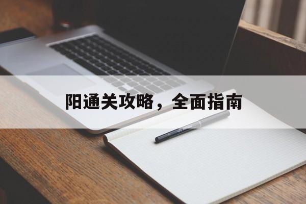 阳通关攻略，全面指南