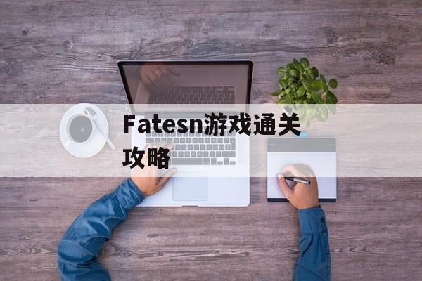 Fatesn游戏通关攻略