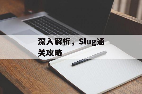 深入解析,Slug通关攻略 深入解析,Slug通关攻略