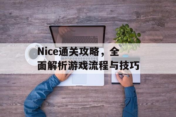 Nice通关攻略,全面解析游戏流程与技巧 Nice通关攻略,全面解析游戏流程与技巧