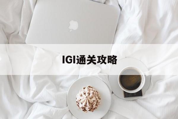 IGI通关攻略
