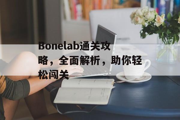 Bonelab通关攻略,全面解析,助你轻松闯关 Bonelab通关攻略,全面解析,助你轻松闯关