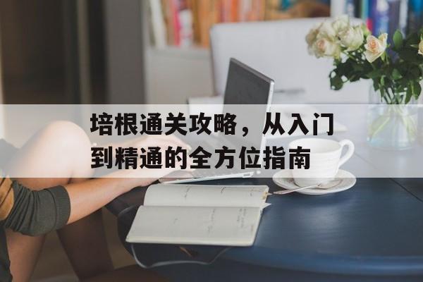 培根通关攻略,从入门到精通的全方位指南 培根通关攻略,从入门到精通的全方位指南