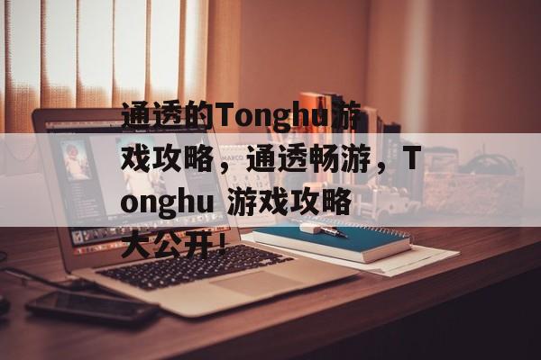 通透的Tonghu游戏攻略,通透畅游,Tonghu 游戏攻略大公开! 通透的Tonghu游戏攻略,通透畅游,Tonghu 游戏攻略大公开!