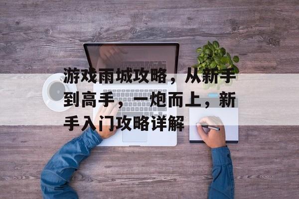 游戏雨城攻略，从新手到高手，一炮而上，新手入门攻略详解
