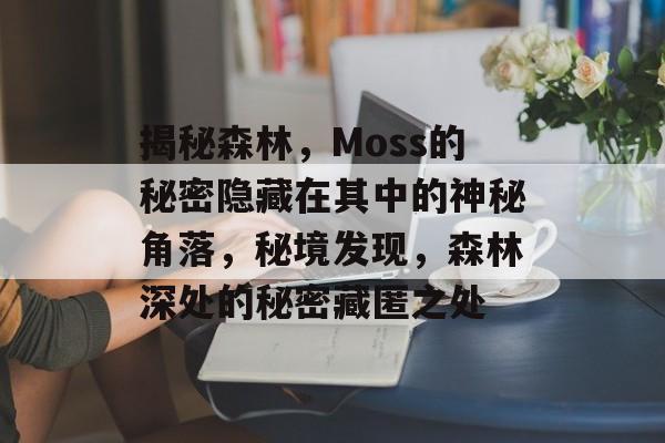 揭秘森林,Moss的秘密隐藏在其中的神秘角落,秘境发现,森林深处的秘密藏匿之处 揭秘森林,Moss的秘密隐藏在其中的神秘角落,秘境发现,森林深处的秘密藏匿之处