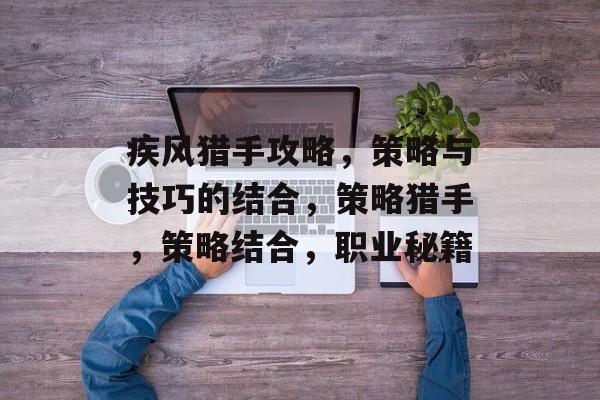 疾风猎手攻略，策略与技巧的结合，策略猎手，策略结合，职业秘籍
