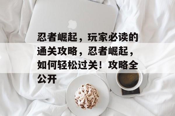 忍者崛起,玩家必读的通关攻略,忍者崛起,如何轻松过关!攻略全公开 忍者崛起,玩家必读的通关攻略,忍者崛起,如何轻松过关!攻略全公开