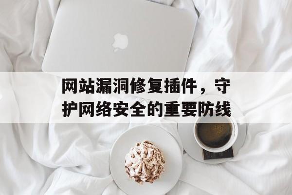 网站漏洞修复插件,守护网络安全的重要防线 网站漏洞修复插件,守护网络安全的重要防线