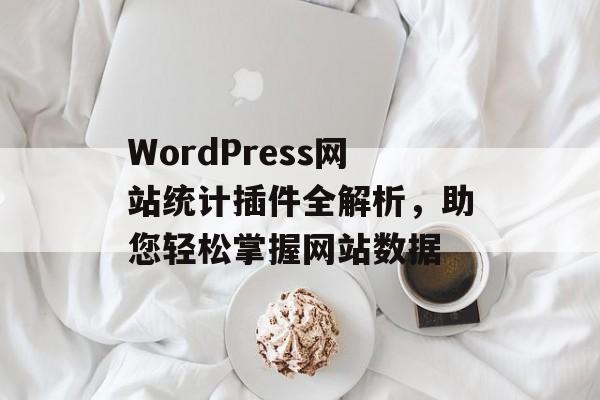 WordPress网站统计插件全解析,助您轻松掌握网站数据 WordPress网站统计插件全解析,助您轻松掌握网站数据