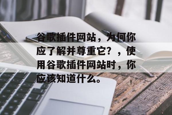 谷歌插件网站，为何你应了解并尊重它？，使用谷歌插件网站时，你应该知道什么。