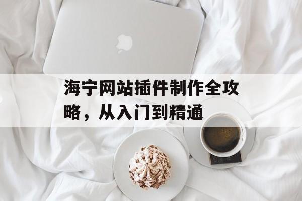 海宁网站插件制作全攻略，从入门到精通