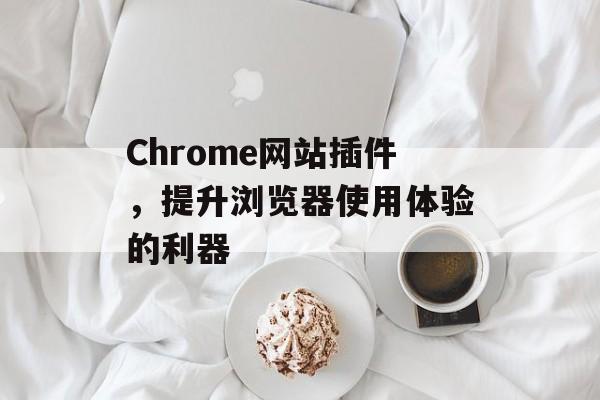 Chrome网站插件,提升浏览器使用体验的利器 Chrome网站插件,提升浏览器使用体验的利器