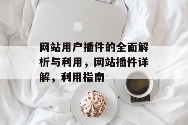 网站用户插件的全面解析与利用,网站插件详解,利用指南 网站用户插件的全面解析与利用,网站插件详解,利用指南