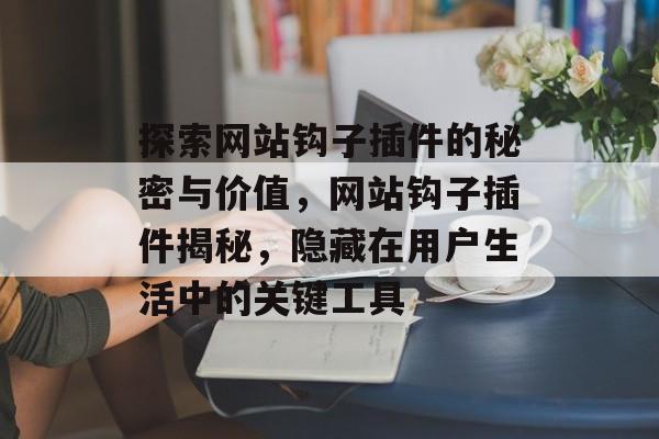 探索网站钩子插件的秘密与价值，网站钩子插件揭秘，隐藏在用户生活中的关键工具
