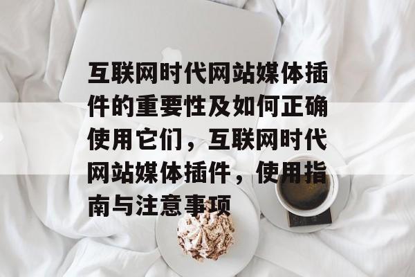 互联网时代网站媒体插件的重要性及如何正确使用它们，互联网时代网站媒体插件，使用指南与注意事项