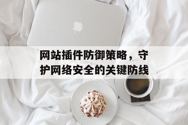 网站插件防御策略,守护网络安全的关键防线 网站插件防御策略,守护网络安全的关键防线