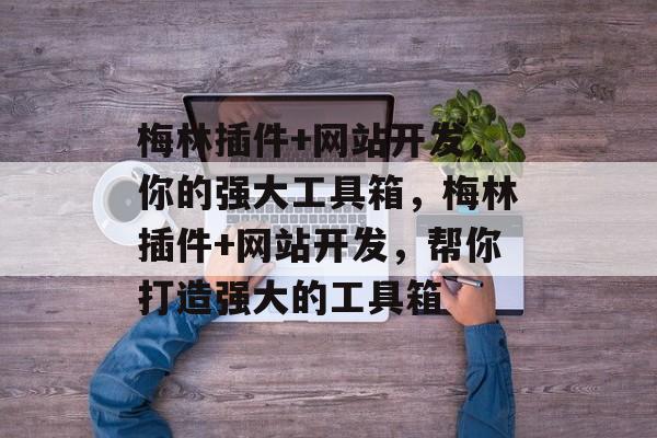 梅林插件+网站开发，你的强大工具箱，梅林插件+网站开发，帮你打造强大的工具箱