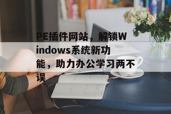 PE插件网站,解锁Windows系统新功能,助力办公学习两不误 PE插件网站,解锁Windows系统新功能,助力办公学习两不误