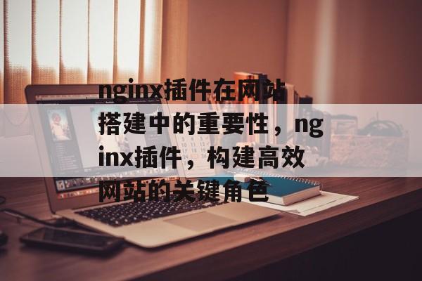 nginx插件在网站搭建中的重要性，nginx插件，构建高效网站的关键角色
